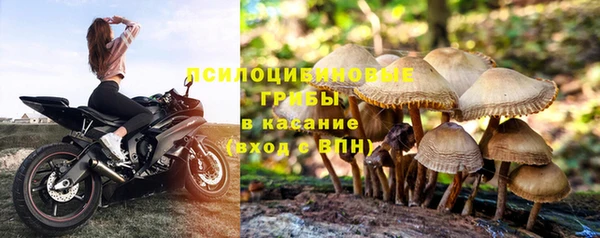 шишки Волоколамск