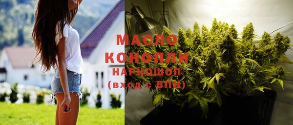 эйфоретик Михайлов