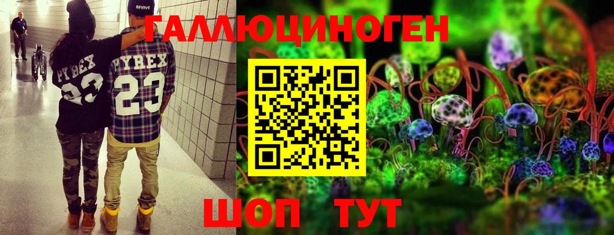 ГАШ Полевской
