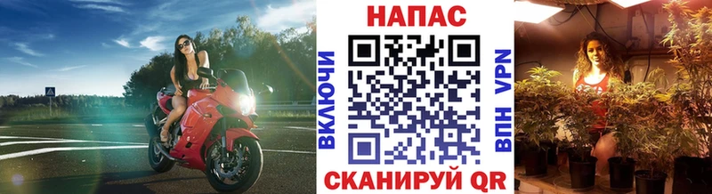 Бошки Шишки Amnesia Полевской