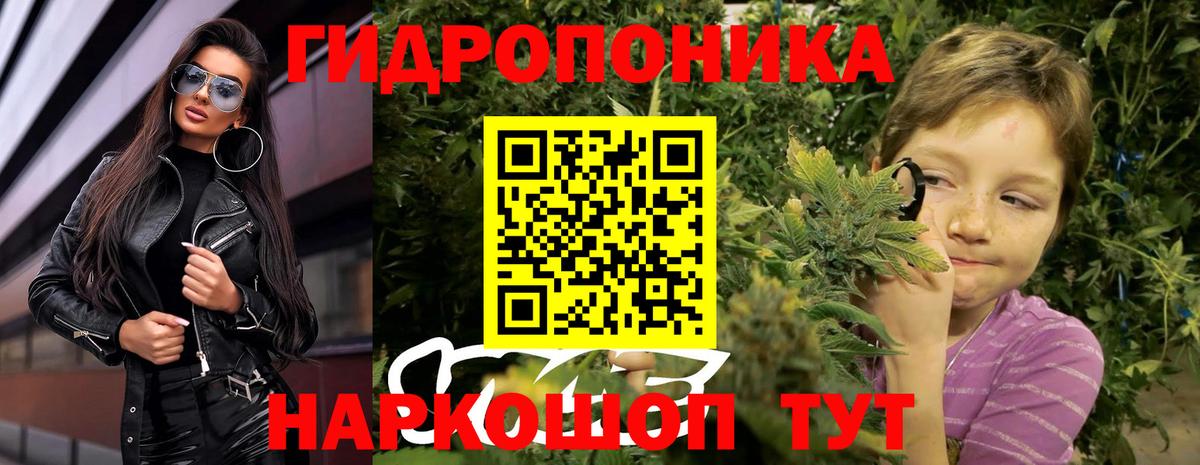Полевской  Конопля марихуана  Вход с VPN  Бошки марихуана Bruce Banner 